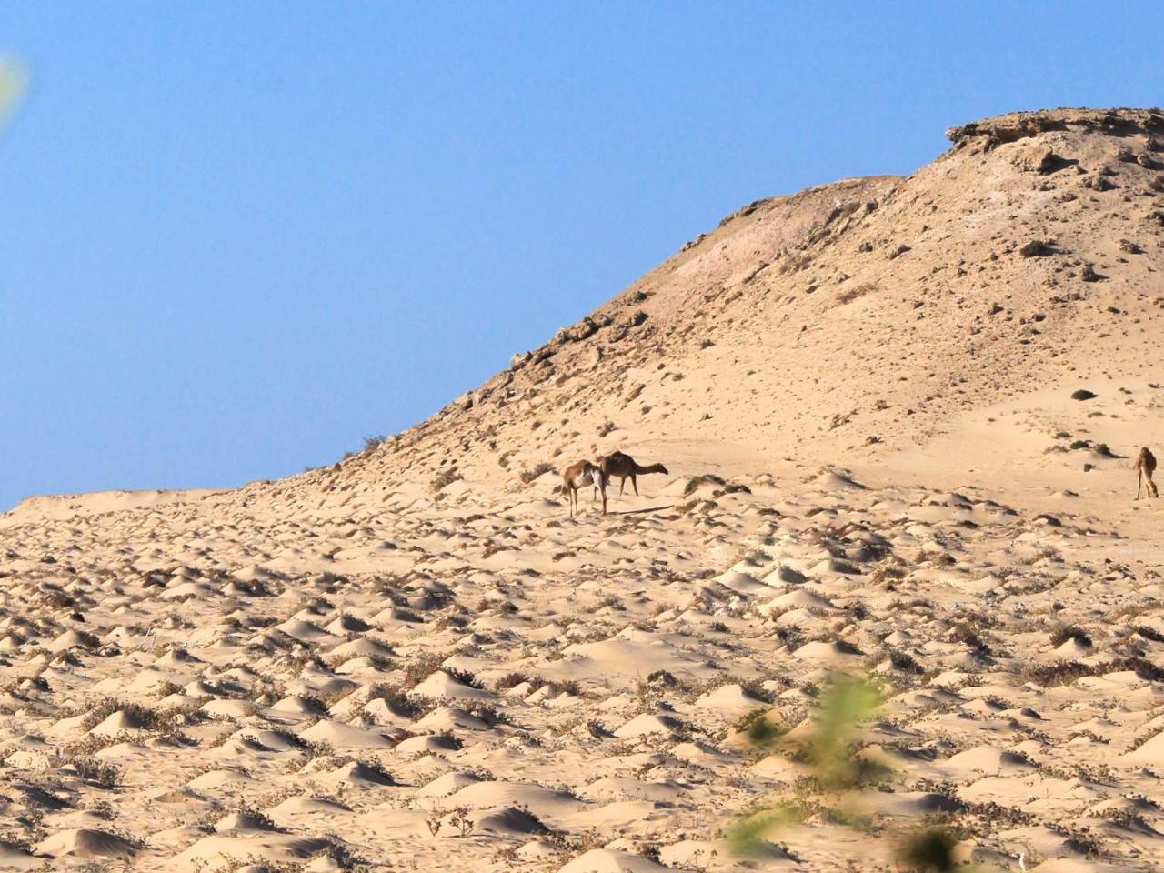 Dakhla Kitesurf World Exterior foto